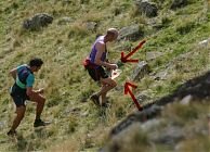 Jim Davies + Goldfish