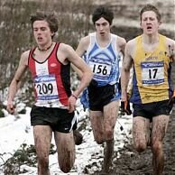 Dave Forrester on the country