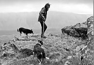 Joss and his dogs, where he loves to be...