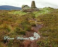 Prince Williams Seat