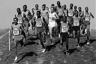 Get ready for some hot and fast racing in Jordan