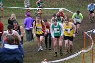 This is what it's all about