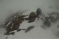 Nick Clark on his recent BGR