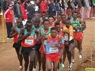 African dominance is to be checked - through administration