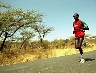 Tergat - did not have the benefit of altitude